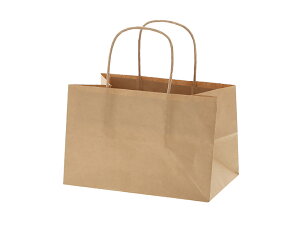 �y���ʔ̔��z���� �I�u�����O�o�b�O 23-15 ���N���n