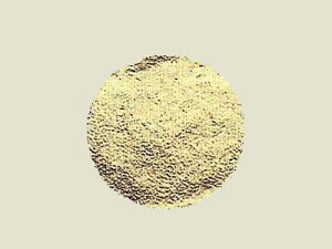 y@[V[ L@z bsOV[ bsO V[ XebJ[ bsOpi MtgbsO Mtg v[g 蕨 Օi  킢 Ɩp