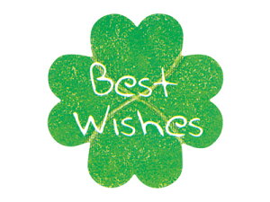 y|Xgz֑Ή zy@MtgV[ N[o[́[Ɓi60Гj@z bsOV[ bsO V[ XebJ[ bsOpi MtgbsO Mtg v[g 