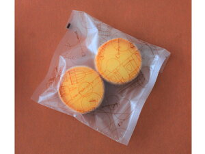 PiwőFH-81 }bgoA () pWB 100×120