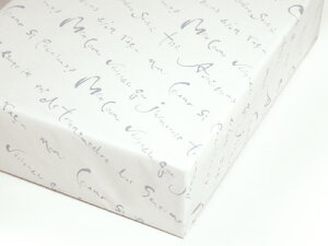 y@v@X  zCg@z bsOpi bsO  MtgbsO v[g 蕨 Օi  킢 Ɩp