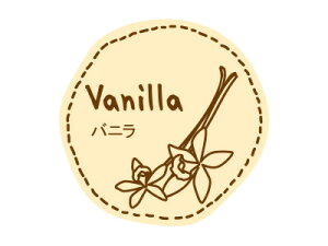 y|Xgz֑Ή zy@eCXeBV[ oj@z bsOV[ bsO V[ XebJ[ bsOpi MtgbsO Mtg v[g 蕨 Օi 