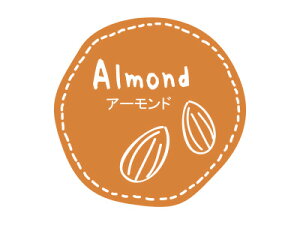 y|Xgz֑Ή zy@eCXeBV[ A[h@z bsOV[ bsO V[ XebJ[ bsOpi MtgbsO Mtg v[g 蕨 Օi 