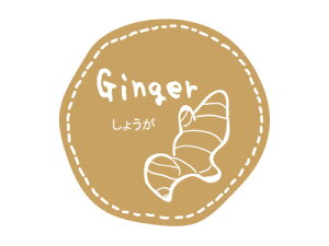 y|Xgz֑Ή zy@eCXeBV[ 傤@z bsOV[ bsO V[ XebJ[ bsOpi MtgbsO Mtg v[g 蕨 Օi 