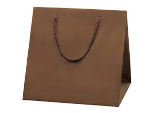 �u���C�g�o�b�O �`���R�u���E�� C-1 ���َq