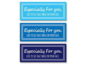 ꋭSMtgV[ jo[T XJC(3F×28)