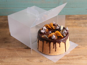 Piwőcotta 肩gP[L 6