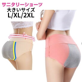 サニタリー ショーツ 大きいサイズ レディース L XL 下着 パンツ 生理用ショーツ 3枚以上で送料無料 メール便