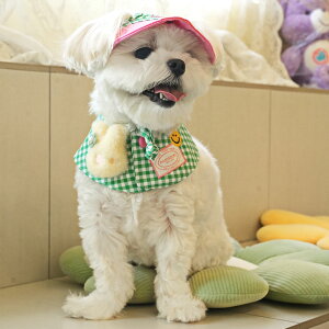 y[֑z Xq P[v Zbg hJ `FbN ȒPE mȎq ybgpXq PARISDOG pXhbO WSISTERSyofBP[vXqZbgz