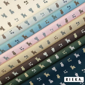 ViEU[܂ YIbNX/u[h/V[`O/_uK[[/[/11z RIEKAi/Aj}//~j`AViEU[/킢//|n/w/G