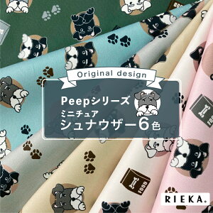 Peep~j`AViEU[ YIbNX/u[h/V[`O/_uK[[/[/11z RIEKAi/Aj}//킢//|n/w/Gݏj