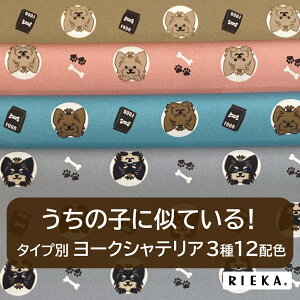 Dog^Cvʃ[NVeA YIbNX/u[h/V[`O/_uK[[/[/11z RIEKAi/Aj}//킢//|n/w/Gݏj