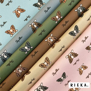 ܂ps YIbNX/u[h/V[`O/_uK[[/[/11z RIEKAi/Aj}//킢//|n/w/Gݏj