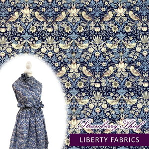 oeBEt@ubNX Xgx[V[t D_ 3635061-YE ^i[R