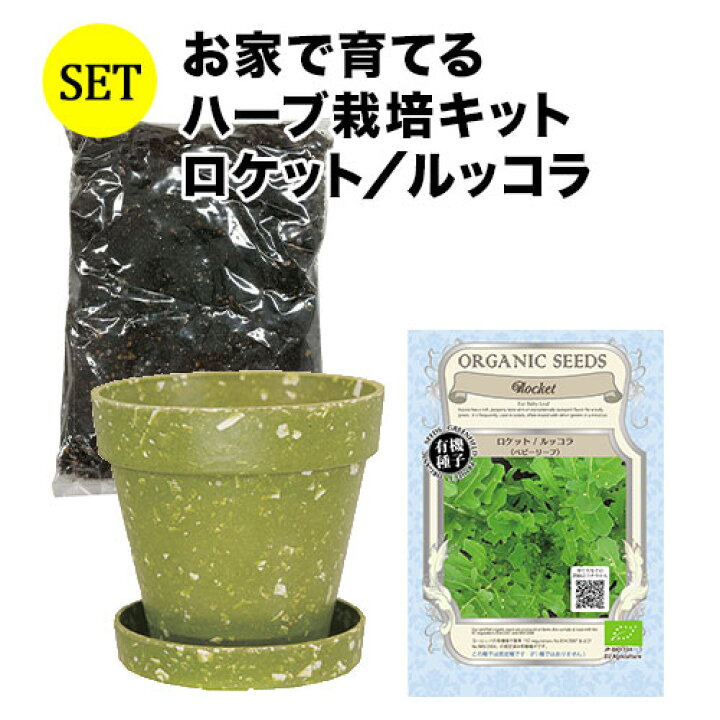 楽天市場 訳あり 種まき期間11月末 お家で育てるハーブ栽培キット ロケット ルッコラ プレーリードッグ ソムリエ 家飲み ワインショップソムリエ