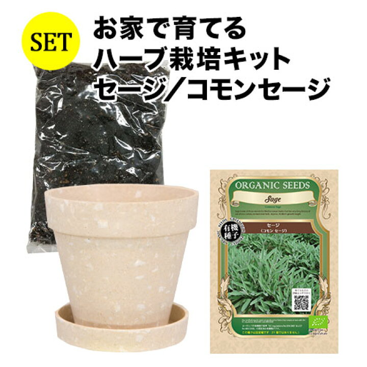 楽天市場 訳あり 種まき期間11月末 お家で育てるハーブ栽培キット セージ コモンセージ プレーリードッグ ソムリエ 家飲み ワインショップソムリエ