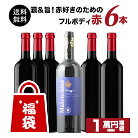 濃＆旨！赤好きのためのフルボディ赤ワイン6本福袋 送料無料 赤ワインセット「4/3更新」