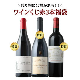 【WEB限定】残り物には福がある！ワインくじ赤3本福袋 (赤ワイン3本) 送料無料【ギフト・プレゼント対応可】【ギフト ワイン】【ソムリエ】
