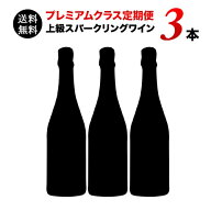 【送料無料】ソムリエプレミアムクラス定期便 シャンパン入り上級スパークリング3本セット（1ヶ月毎お届…