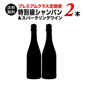 【送料無料】ソムリエプレミアムクラス定期便　特別級シャンパン&スパークリングワイン2本セット（1ヶ月毎お届け）　送料無料