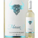 マジア・J・ソーヴィニョン・ブラン アルケミー・ワインズ 2020年 スペイン カスティーリャ・ラ・マンチャ 白ワイン …
