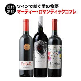 雄大なアンデスを舞台にワインで紡ぐ愛の物語 マーティー・ロマンティックコフレ 送料無料 赤ワイン3本セット 赤ワインセット【ワイン ギフト ソムリエ厳選】