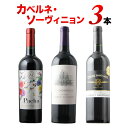 ワインセット 赤ワイン 赤ワイン代表品種カベルネ・ソーヴィニョン3本セット 第19弾「10/31更新」【ワイン ギフト ソムリエ厳選】