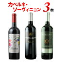 ワインセット 赤ワイン 赤ワイン代表品種カベルネ・ソーヴィニョン3本セット 第21弾「12/3更新」【ワイン ギフト ソムリエ厳選】