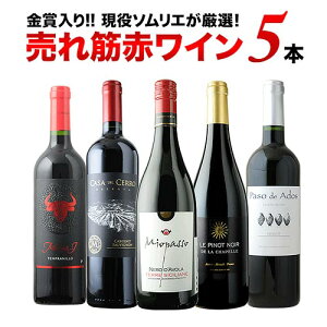 CZbg ԃC ܓI\G̔ؐԃC5{Zbgi31eju11/1XVvyC Mtg \GIz