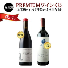 【WEB限定】蔵出しプレミアムワインくじ （赤・シャンパンミックス）送料別【ワインセット】【ワイン ギフト】