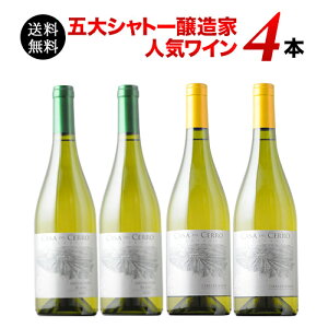 CZbg C  ܑVg[Ƃ̔C4{Zbg yC Mtg \GIz