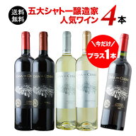 今だけプラス1本！ヴィニャ・マーティーお試し4本セット（赤3本＆白2本）送料無料 ワインセット【ワイン …