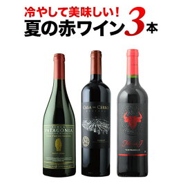 ワインセット 赤ワイン 冷やして美味しい赤ワイン3本セット【ワイン ギフト ソムリエ厳選】