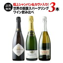 極上シャンパン＆カヴァ入り！世界の銘醸スパークリングワイン3本セット（シャンパン1本・スパークリングワイン2本） 送料無料 「10/17更新」