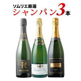 ワインセット スパークリングワイン シャンパン3本セット 第28弾「12/3更新」【ワイン ギフト ソムリエ厳選】