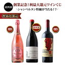 【WEB限定】創業記念！利益大還元ワインくじ （赤・白・泡・シャンパンミックス）送料別【ワインセット】【ワイン ギ…