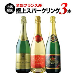 【送料無料】10周年記念特別セット!全部フランス産極上スパークリング3本セット送料無料スパークリングワインセット【ギフト・プレゼント対応可】【ギフトワイン】【ソムリエ】【楽ギフ_のし】【お中元】