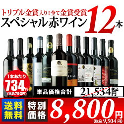 【送料無料】10周年記念特別セット!トリプル金賞入り全て金賞受賞スペシャル赤ワイン12本セット送料無料赤ワインセット【ギフト・プレゼント対応可】【ギフトワイン】【ソムリエ】【楽ギフ_のし】【お中元】