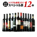 【送料無料】10周年記念特別セット!トリプル金賞入り 全て金賞受賞スペシャル赤ワイン12本セット 第3弾 送料無料 赤ワインセット【ギフト・プレゼント対応可】【...