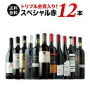 【送料無料】10周年記念特別セット!トリプル金賞入り 全て金賞受賞スペシャル赤ワイン12本セット 第8弾 送料無料 赤ワインセット【ギフト・プレゼント対応可】【...