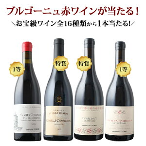 yWEBzʁEԌuS[jC(ԃC)yv12{őzyC Mtg \GIz