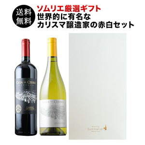 CZbg  Mtg{bNXIEIɗLȃJX}Ƃ̐ԔC2{ZbgiԃC1EC1jyC Mtg \GIz