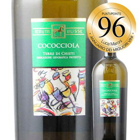 ココッチオーラ テヌータ・ウリッセ 2023年 イタリア アブルッツオ 白ワイン 750ml【ギフト】