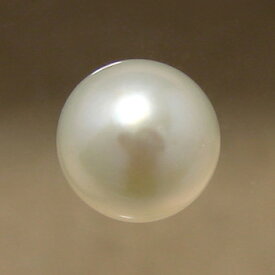 あこや本真珠 パールルース（シングル） 5.5-6.0mm BBB ラウンド （片穴があいています）[n3][4-1217]（真珠 パールセミオーダー 加工用）