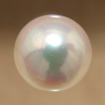 【楽天市場】あこや本真珠 パールルース（シングル） ホワイト系 7.5-8.0mm AAC ラウンド  （片穴があいています）[n3][4-456]（真珠 パールセミオーダー 加工用）: 真珠の卸屋さん