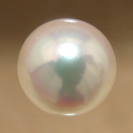 あこや本真珠 パールルース（シングル） ホワイト系 7.0-7.5mm AAB ラウンド （片穴があいています）[n3][4-393]（真珠 パールセミオーダー 加工用）