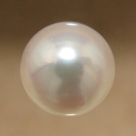 あこや本真珠 パールルース（シングル） ホワイト系 7.0-7.5mm BBB ラウンド （片穴があいています）[n3][4-392]（真珠 パールセミオーダー 加工用）
