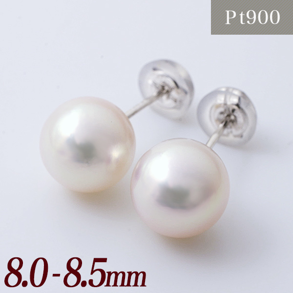 楽天市場】あこや本真珠 パールピアス ホワイト系 8.0-8.5mm BBB Pt900 
