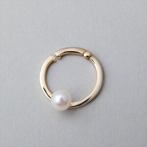 yWEBzsCarinat ^ C[Jt@5.5-6.0mm K10YG p[CO ig JWA