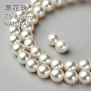 ytFAT2tzF^ lbNXZbg7.5-8.0mm -Ԏ- p[lbNX sAX CO tH[}  w Ǝ  